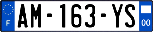 AM-163-YS