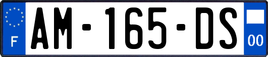 AM-165-DS