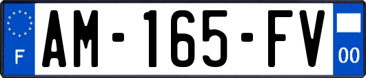 AM-165-FV