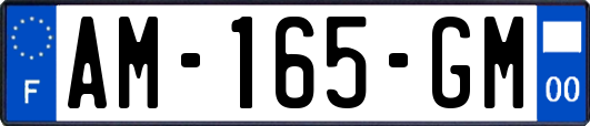 AM-165-GM