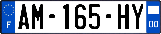 AM-165-HY
