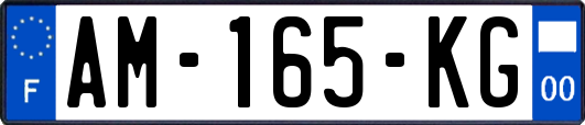 AM-165-KG