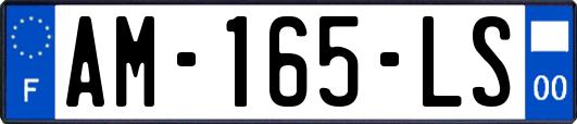 AM-165-LS