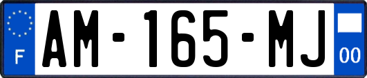 AM-165-MJ