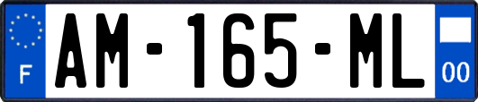 AM-165-ML