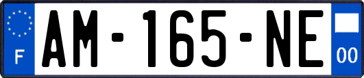 AM-165-NE