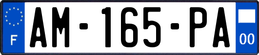 AM-165-PA