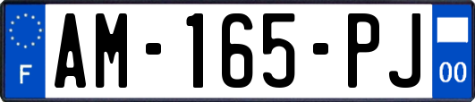 AM-165-PJ