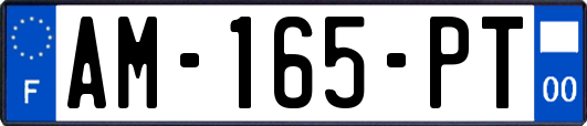 AM-165-PT