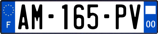 AM-165-PV