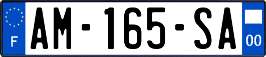 AM-165-SA