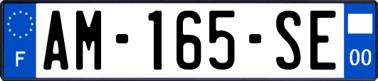 AM-165-SE