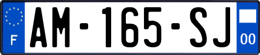 AM-165-SJ