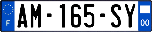 AM-165-SY