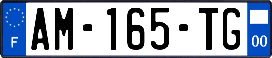 AM-165-TG