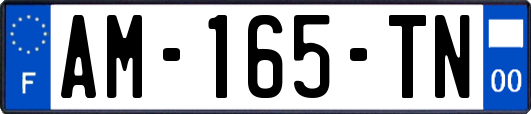 AM-165-TN