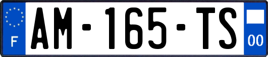 AM-165-TS