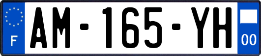 AM-165-YH