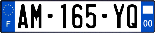 AM-165-YQ