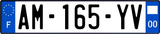 AM-165-YV
