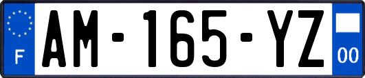 AM-165-YZ