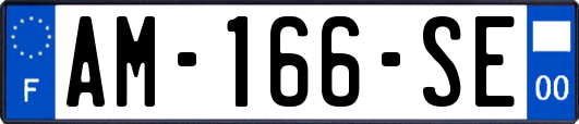 AM-166-SE