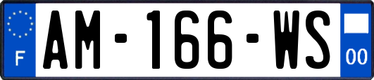 AM-166-WS