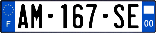 AM-167-SE