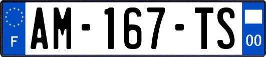 AM-167-TS