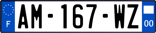 AM-167-WZ
