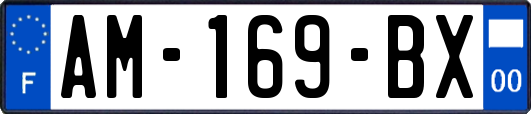 AM-169-BX
