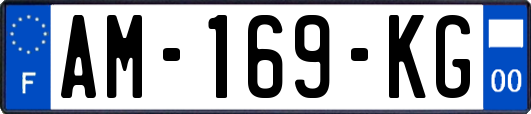 AM-169-KG