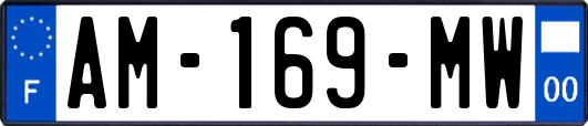 AM-169-MW