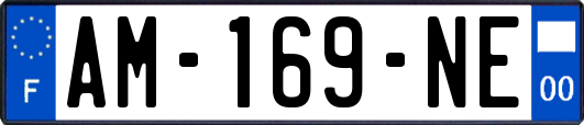 AM-169-NE