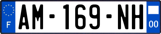 AM-169-NH