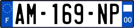 AM-169-NP
