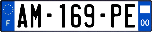 AM-169-PE