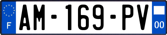 AM-169-PV