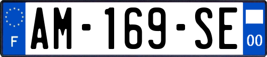 AM-169-SE