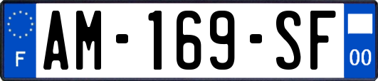 AM-169-SF