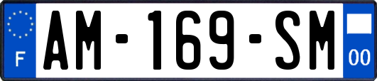 AM-169-SM