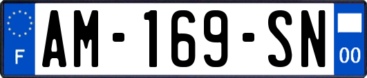 AM-169-SN