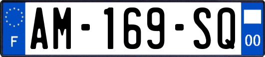 AM-169-SQ
