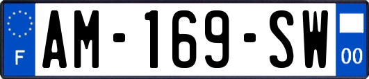 AM-169-SW