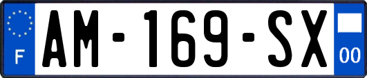 AM-169-SX