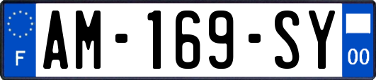 AM-169-SY