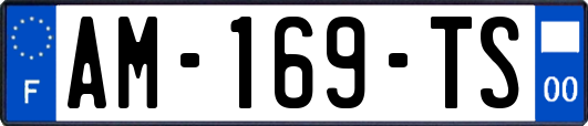 AM-169-TS
