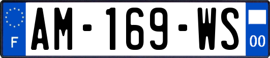 AM-169-WS