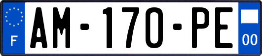AM-170-PE