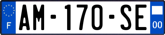 AM-170-SE